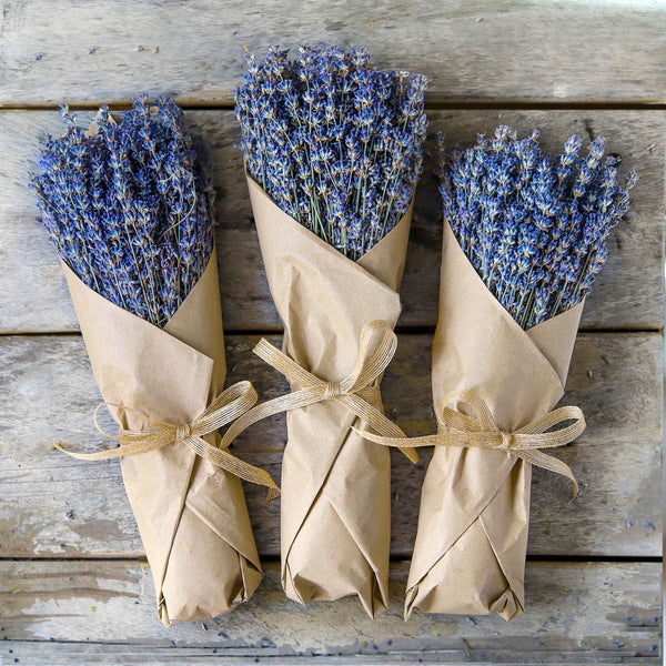 Dried Lavender Bundle