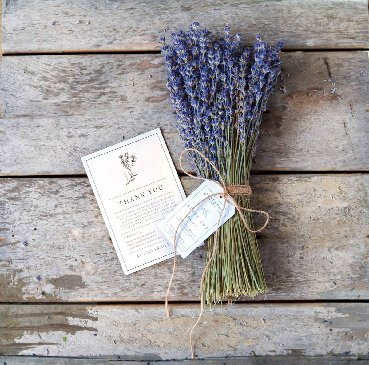 Dried Lavender Bundle