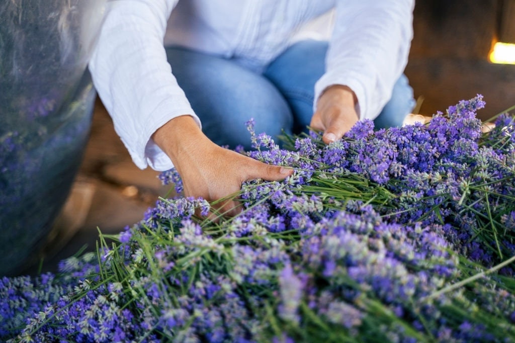 Dried Lavender Bundle